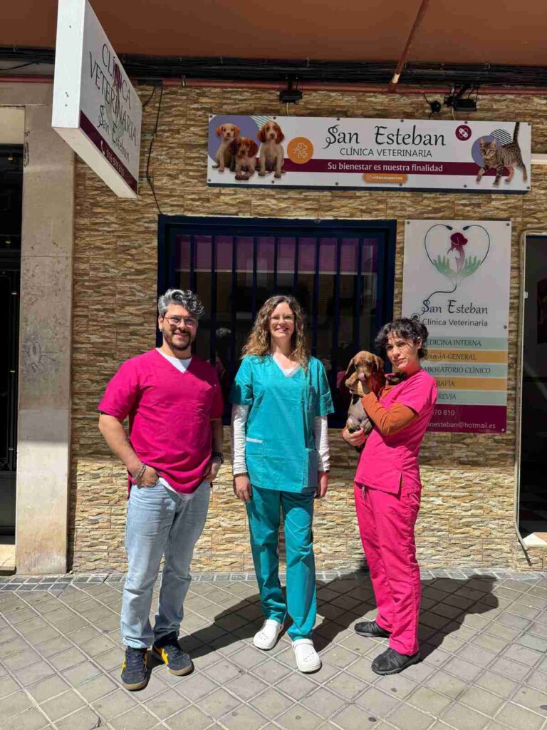 C. Vet San Esteban