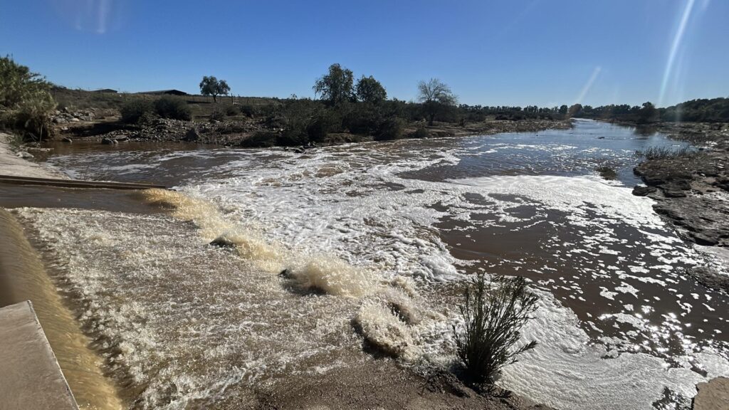 El río Guadiamar a su paso por Gerena, el principal proveedor natural de agua a Doñana desde la provincia de Sevilla, ha recibido en los últimos días 206,900 litros por metro cuadrado, lo que garantiza aporte de agua a Doñana mediante esta corriente fluvial, al superar los 50 litros necesarios para ello, gracias a la lluvia que llevaba consigo la borrasca Claudia. EFE/Fermín Cabanillas