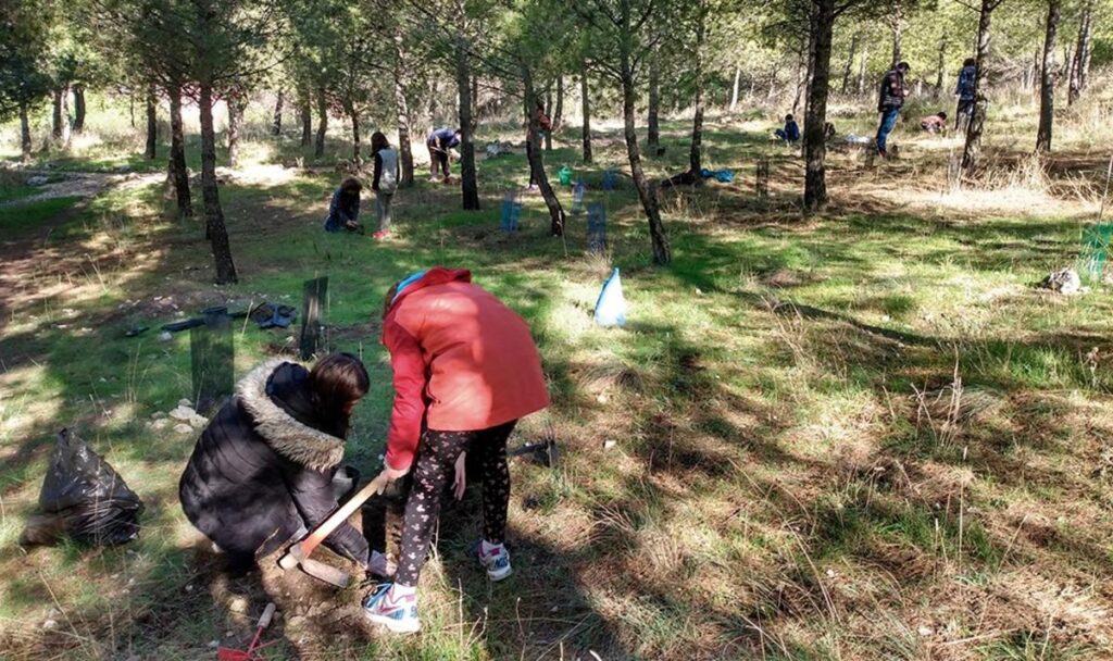 Arranca 2026 con jornada de ocio ecológico y siembra de bellotas en el cerro del Telégrafo