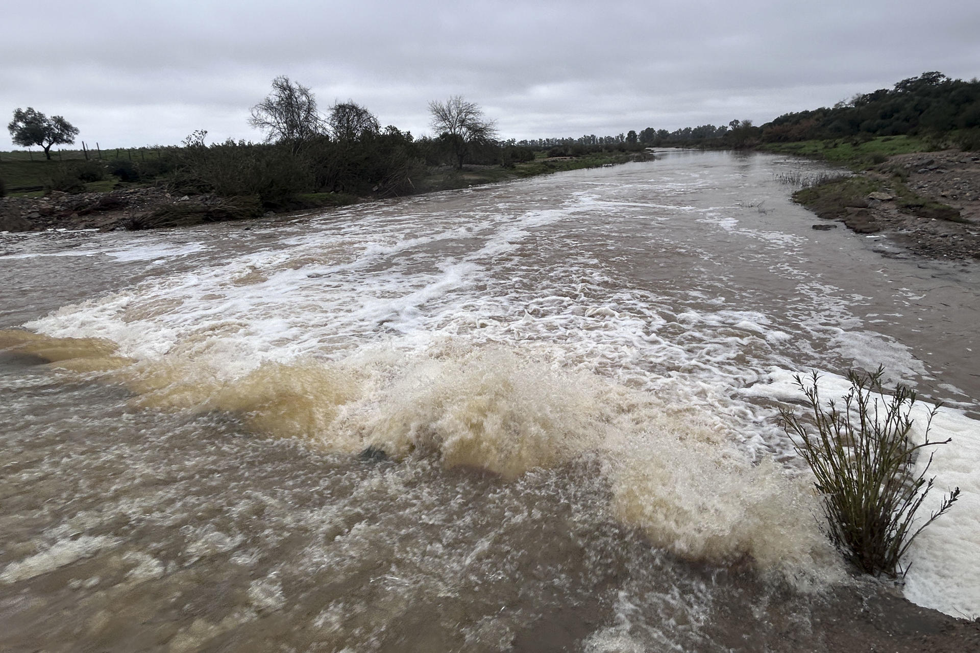 Vista del cauce del Río Guadiamar entre Gerena y Aznalcóllar (Sevilla). Se trata del principal proveedor natural de agua a Doñana desde la provincia de Sevilla, y ha recibido 150,900 litros de agua por metro cuadrado por efecto de la lluvia en la última semana, que van directos al Parque Nacional.- EFE/ Fermín Cabanillas
