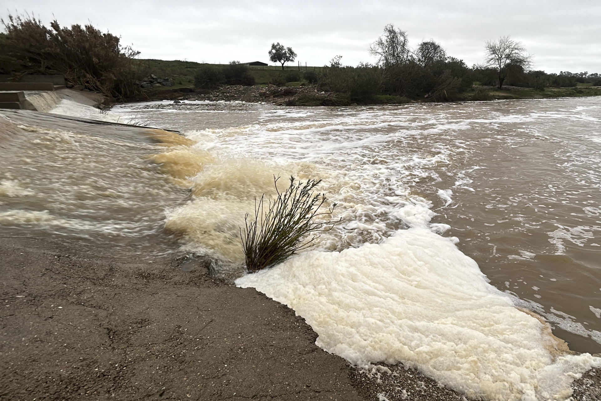 Vista del cauce del Río Guadiamar entre Gerena y Aznalcóllar (Sevilla). Se trata del principal proveedor natural de agua a Doñana desde la provincia de Sevilla, y ha recibido 150,900 litros de agua por metro cuadrado por efecto de la lluvia en la última semana, que van directos al Parque Nacional.- EFE/ Fermín Cabanillas
