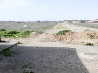 Obras de urbanización de la Avenida de Niort en Tomelloso
