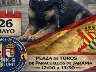 Exhibición de unidades caninas K9 en Paracuellos de Jarama con perros policía y de emergencias