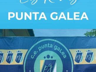 Asistentes disfrutando de la Fiesta del Colegio Punta Galea con actividades y convivencia familiar
