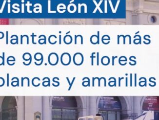 Flores blancas y amarillas en Cibeles, parte de la campaña municipal de plantación de flor de temporada primavera-verano de Madrid