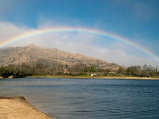 Río Manzanares en Madrid con proyecto de reintroducción de especies autóctonos