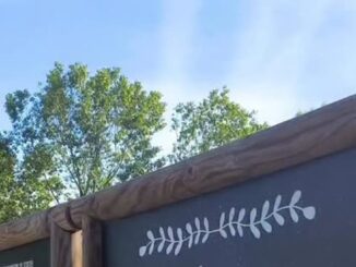 Entrada a la Senda Mágica de Arroyomolinos con elementos decorativos fantásticos e iluminación natural entre árboles