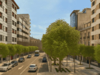 Imagen de la Avenida Virgen de la Montaña en Cáceres que será objeto de remodelación integral