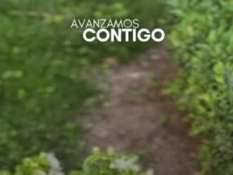 Trabajos de plantación de flores y creación de zonas verdes en Albacete para el Día Mundial del Medio Ambiente