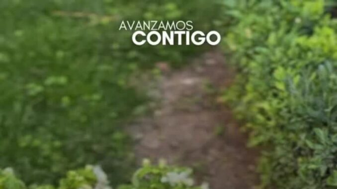 Trabajos de plantación de flores y creación de zonas verdes en Albacete para el Día Mundial del Medio Ambiente