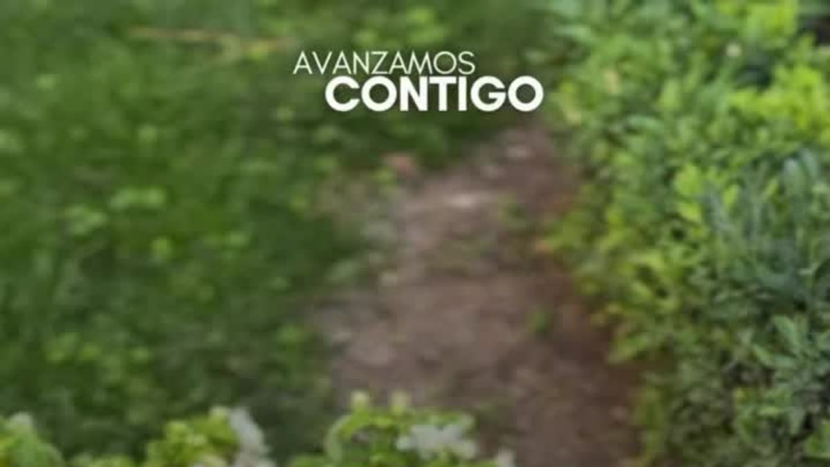 Trabajos de plantación de flores y creación de zonas verdes en Albacete para el Día Mundial del Medio Ambiente
