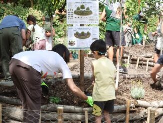 Cientos de vecinos participando en actividades educativas durante la celebración del Día Mundial del Medio Ambiente en Alcobendas con talleres, exhibición de aves y distribución de plantas