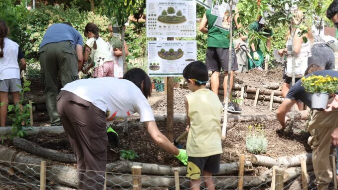 Cientos de vecinos participando en actividades educativas durante la celebración del Día Mundial del Medio Ambiente en Alcobendas con talleres, exhibición de aves y distribución de plantas