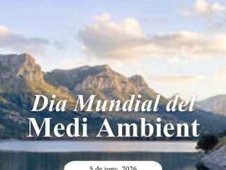 Cartel conmemorativo del Día Mundial del Medio Ambiente en Islas Baleares con mensaje sobre conservación del patrimonio natural