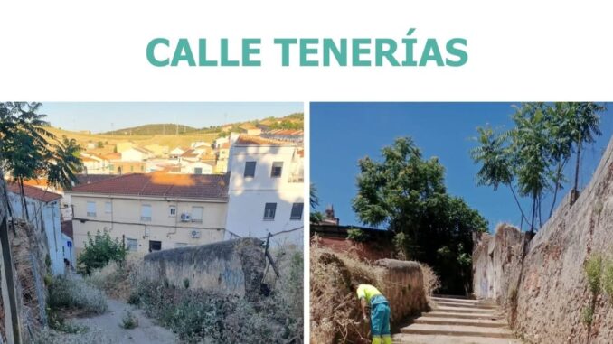 Cáceres continúa con trabajos de desbroce en calles y aceras Equipo municipal realizando trabajos de desbroce en una calle de Cáceres