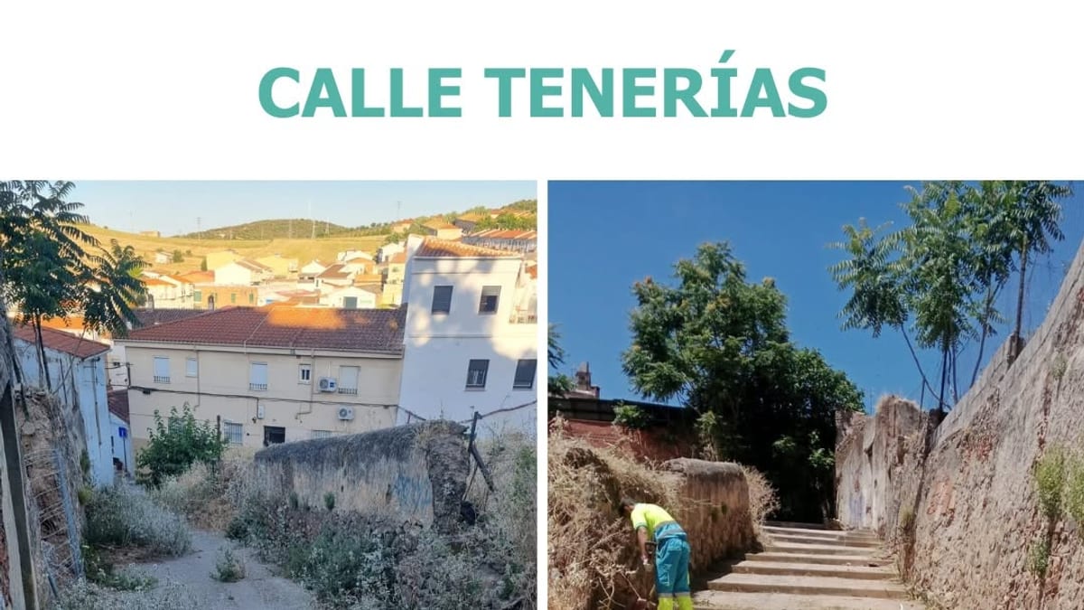 Equipo municipal realizando trabajos de desbroce en una calle de Cáceres