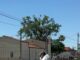 Trabajos de limpieza y tratamiento preventivo contra mosquitos en espacios públicos de Castellón
