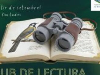 Logo y cartel promocional del Club de Lectura Verd d'Eivissa de la Biblioteca Pública Insular