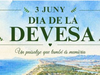 Brigadas y voluntarios trabajando en el mantenimiento y conservación de la Devesa de l'Albufera