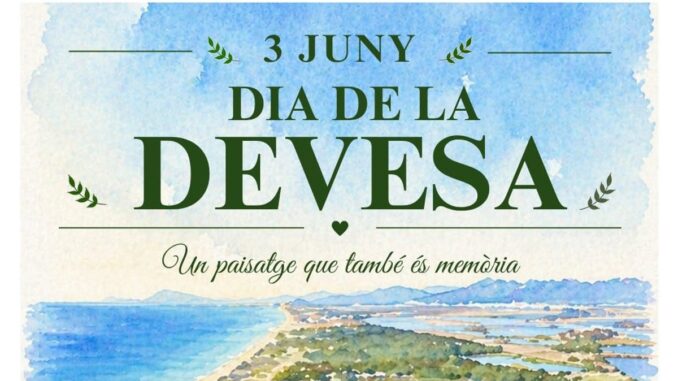 La Devesa de l'Albufera: un legado compartido que requiere cuidados Brigadas y voluntarios trabajando en el mantenimiento y conservación de la Devesa de l'Albufera