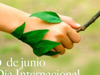 Cartel del Día Internacional del Medio Ambiente 2026 con enfoque en cambio climático y sostenibilidad