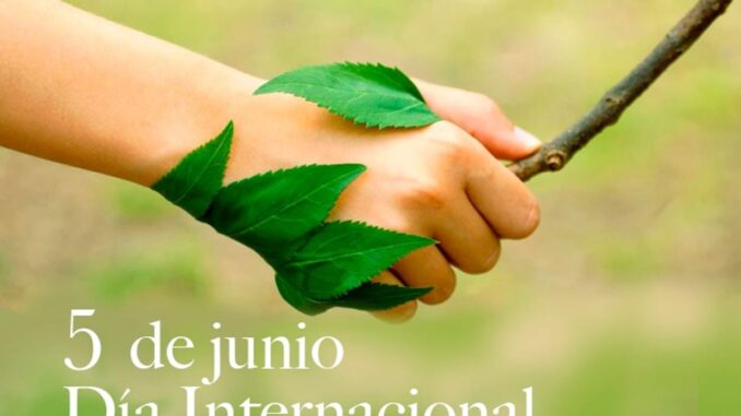 Cartel del Día Internacional del Medio Ambiente 2026 con enfoque en cambio climático y sostenibilidad
