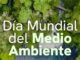 Composición visual sobre el Día Mundial del Medio Ambiente con elementos verdes y sostenibles