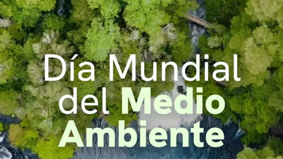 Composición visual sobre el Día Mundial del Medio Ambiente con elementos verdes y sostenibles