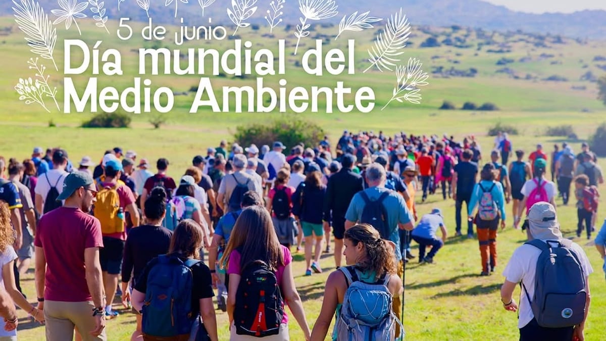 Cartel promocional de las Jornadas del Día Mundial del Medio Ambiente con actividades de trashumancia, marcha ambiental y talleres naturales