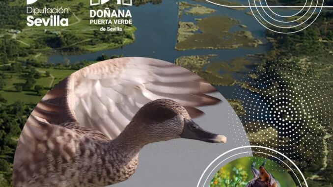 Diputación de Sevilla refuerza su compromiso ambiental en el Día Mundial Comunicado de la Diputación de Sevilla sobre compromiso ambiental en el Día Mundial del Medio Ambiente