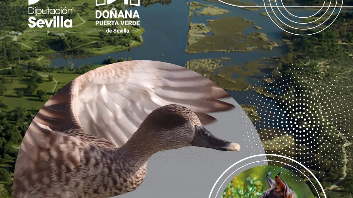 Comunicado de la Diputación de Sevilla sobre compromiso ambiental en el Día Mundial del Medio Ambiente