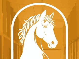 Cartel de la feria Doñana Ecuestre en Villamanrique de la Condesa, junio 2026