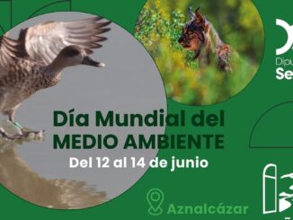 Cartel de actividades por el Día Mundial del Medio Ambiente de la Diputación de Sevilla en Aznalcázar con el lema Doñana, puerta verde de Sevilla