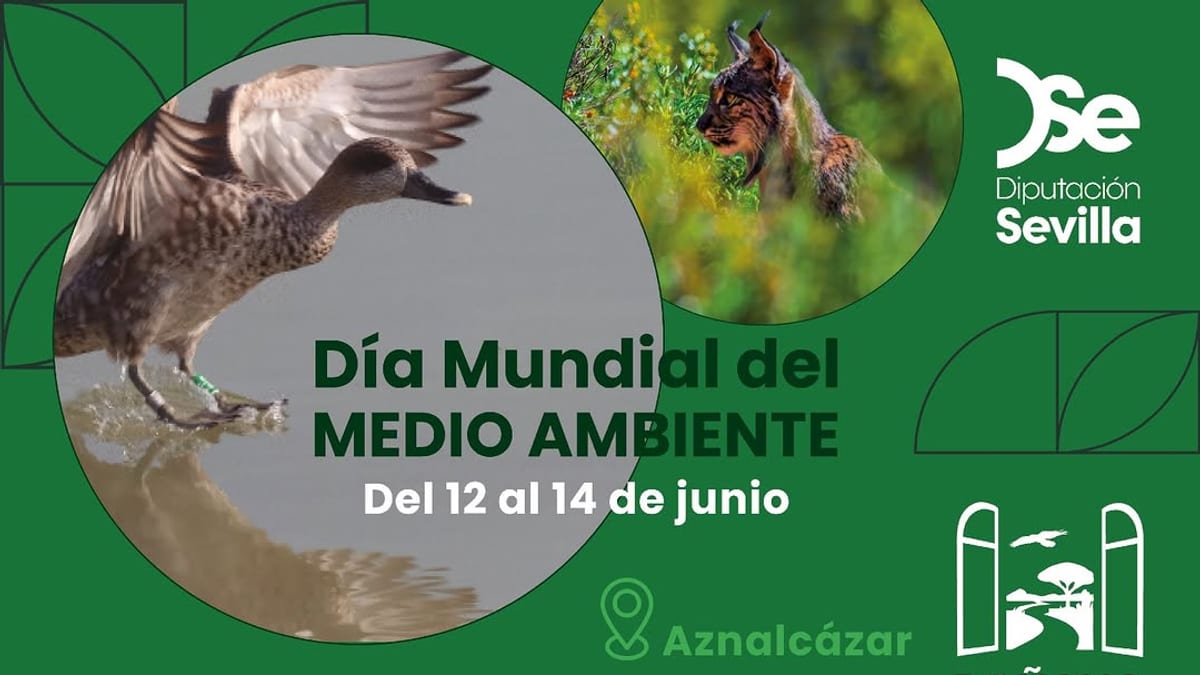 Cartel de actividades por el Día Mundial del Medio Ambiente de la Diputación de Sevilla en Aznalcázar con el lema Doñana, puerta verde de Sevilla