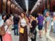 Vista de la Feria del Empleo de Cruz Roja en los Depósitos de Cádiz con asistentes y stands informativos