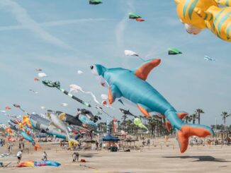 Cartel promocional del Festival Internacional del Viento III edición con cometas y elementos visuales del evento