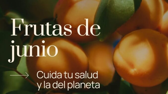 Junio llena de dulzura: brevas, cerezas y sandías de temporada Variedad de frutas de temporada de junio: brevas, cerezas rojas y sandía fresca