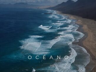 Paisaje natural de Fuerteventura con vegetación desértica característica de la isla