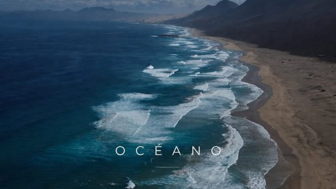 Paisaje natural de Fuerteventura con vegetación desértica característica de la isla
