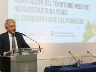 Corredor verde del Monnegre con intervenciones de limpieza y recuperación ambiental