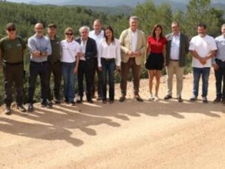 Máquinaria trabajando en la restauración de una pista forestal dañada por la dana en la Comunitat Valenciana