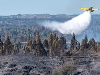 Medios aéreos y terrestres del Plan Infoca combatiendo el incendio forestal de Villanueva de los Castillejos