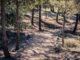 Parque Mazalmadrit con vegetación forestal en Rivas Vaciamadrid