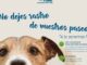Campaña del Ayuntamiento de Pinto sobre recogida de excrementos caninos y limpieza de mascotas en espacios públicos