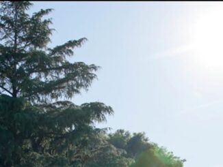 Cartel de apertura de la Piscina Municipal de Verano con información de horarios y actividades para la temporada estival