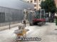 Vista de la Plaza de los Cuentos con proyecto de isla climática que incluye arbolado, huerto urbano y nebulizadores en Logroño