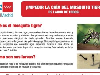 Cartel informativo del Ayuntamiento de Aranjuez sobre prevención del mosquito tigre y evitar acumulación de agua en espacios privados