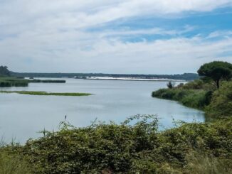 Presentación del proyecto de restauración de la Laguna de las Madres, con autoridades y representantes institucionales destacando la importancia de este humedal europeo