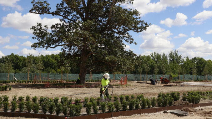 El proyecto de renovación de Jardín del Parterre de Aranjuez estará concluido a finales de junio. EFE/ Patrimonio Nacional
SOLO USO EDITORIAL/SOLO DISPONIBLE PARA ILUSTRAR LA NOTICIA QUE ACOMPAÑA (CRÉDITO OBLIGATORIO)
