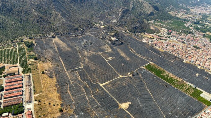 Incendio forestal del parque regional de El Valle-Carrascoy en Murcia, con un balance provisional de 177 hectáreas quemadas, la mitad en espacios naturales protegidos. EFE/Emergencias 112/SOLO USO EDITORIAL/SOLO DISPONIBLE PARA ILUSTRAR LA NOTICIA QUE ACOMPAÑA (CRÉDITO OBLIGATORIO)
